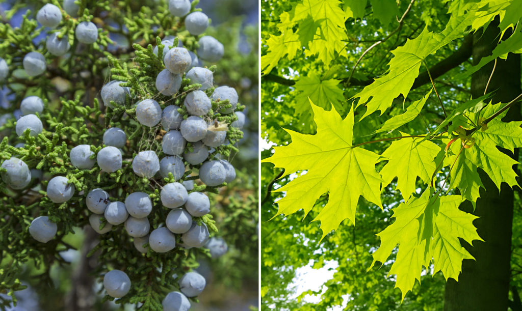 Struggling since spring has sprung? Here’s how to conquer your